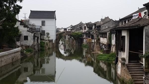逗小猴开心系列181